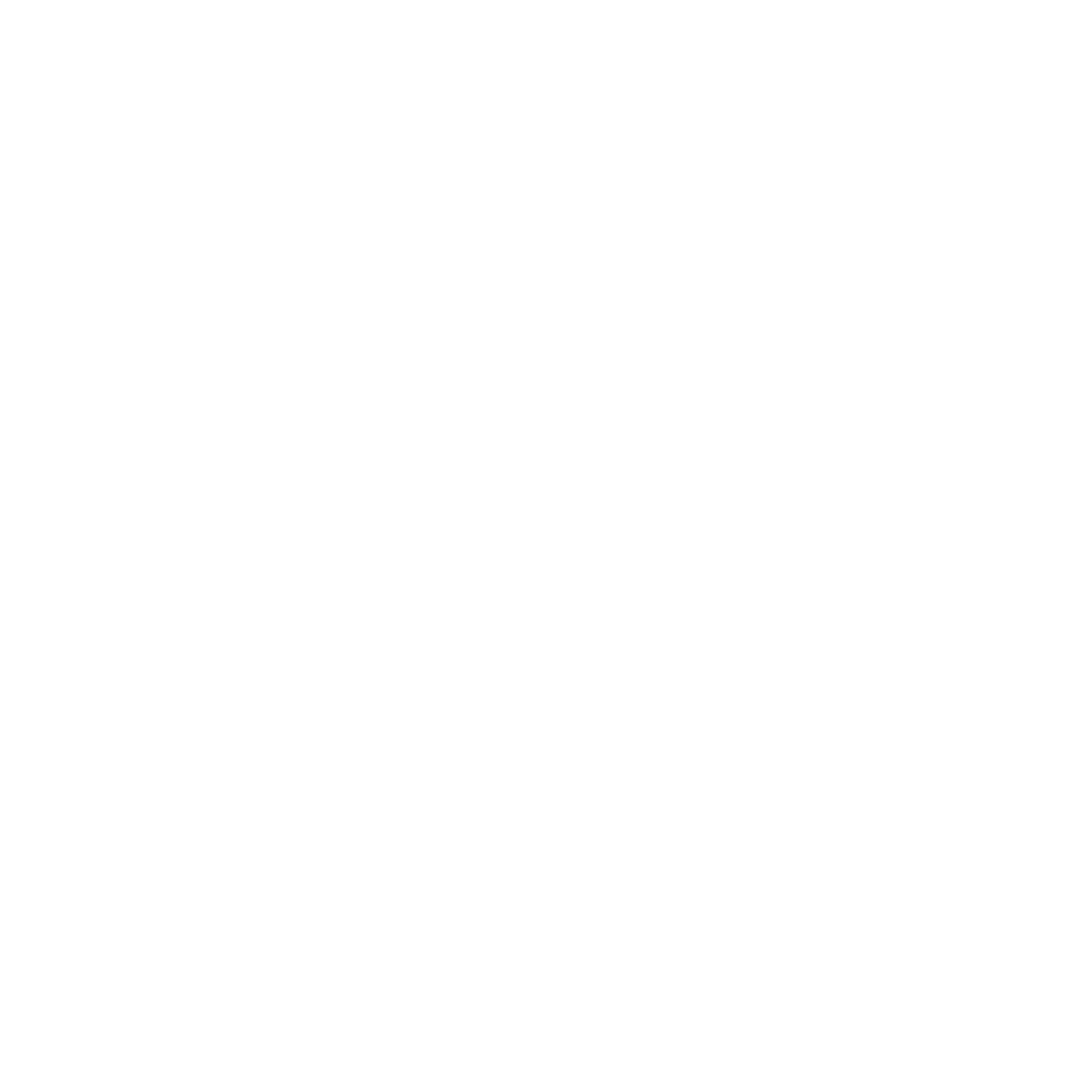 BlackIceLogo_Vertical_White