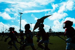 1_CIR_SZN3_S2-231