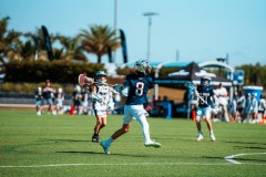1_CIR_SZN3_S2-570