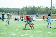 CIR_SZN3_S2-210